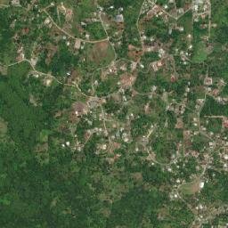 Windsor Forest map(satellite map)