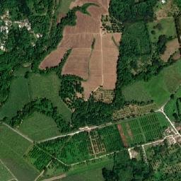 Bogwalk map(satellite map)