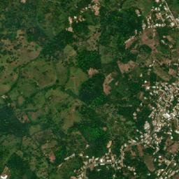 Colonia la Central map(satellite map)