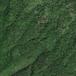 Long Bay map(satellite map)