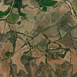 Guadalupe map(satellite map)