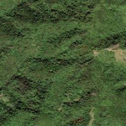 Patillas Municipio map(satellite map)