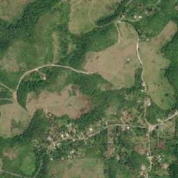 Richmond Park map(satellite map)