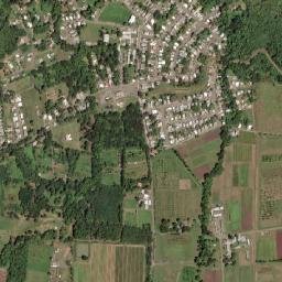 Palmarejo map(satellite map)