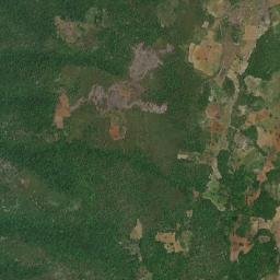 Burnt Savannah map(satellite map)