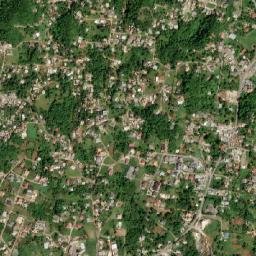 Greenvale map(satellite map)