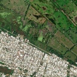 La Selva map(satellite map)