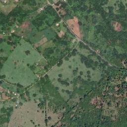 Pepper map(satellite map)