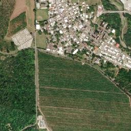 Guayanilla map(satellite map)