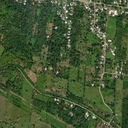 Palo Mulato map(satellite map)