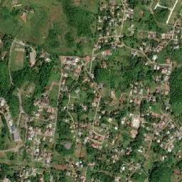 Cedar Grove map(satellite map)