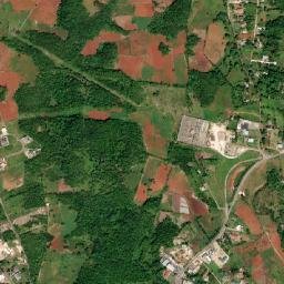 Spur Tree map(satellite map)