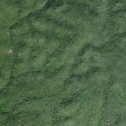 Bucknor map(satellite map)