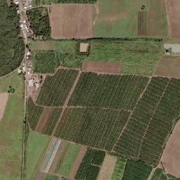 Santa Isabel Municipio map(satellite map)