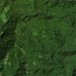 White Hall map(satellite map)