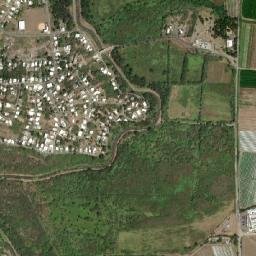 Fuig map(satellite map)