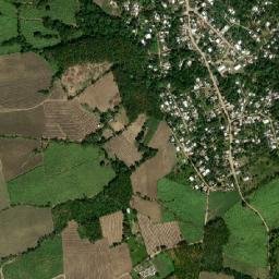 La Mina map(satellite map)