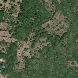 Pondside map(satellite map)