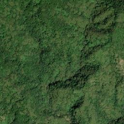 Hayfield map(satellite map)
