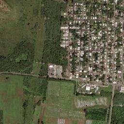 Coquí map(satellite map)