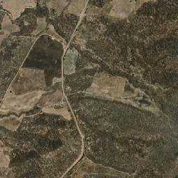 Copalillo map(satellite map)