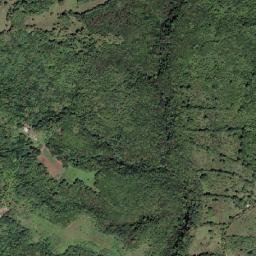 Amity Hall map(satellite map)