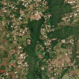 Downs map(satellite map)