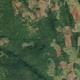 French Park map(satellite map)