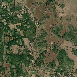 Bigwoods map(satellite map)