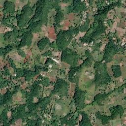 Rose Hall map(satellite map)