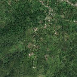 York map(satellite map)