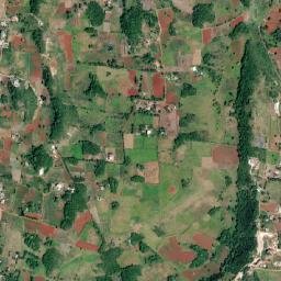 Potsdam map(satellite map)