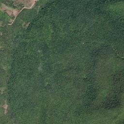 New Forest map(satellite map)