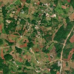 Rose Hill map(satellite map)