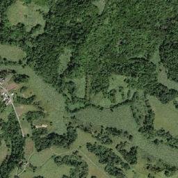 Pear Tree map(satellite map)