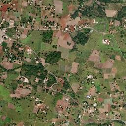 Pedro Plains map(satellite map)