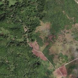 Barking Lodge map(satellite map)