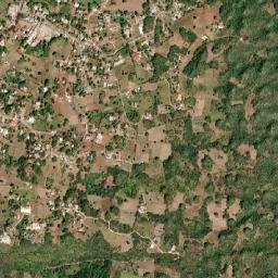 Bull Savannah map(satellite map)