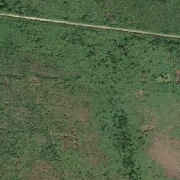 Mitchell Town map(satellite map)