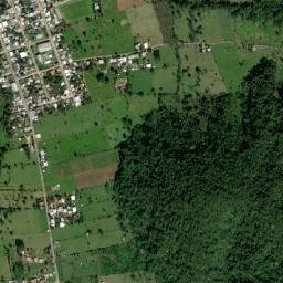 Vega del Sol map(satellite map)