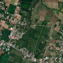 Alabug map(satellite map)
