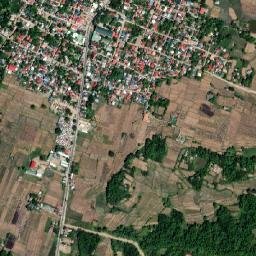 Magsingal map(satellite map)