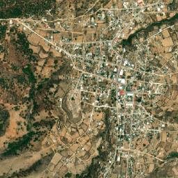 Tamazola map(satellite map)