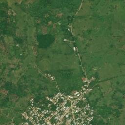 Palomas map(satellite map)