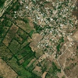 Palos Blancos map(satellite map)