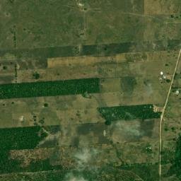 San Carlos map(satellite map)