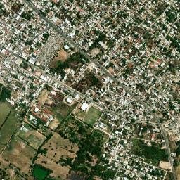 Petatlán map(satellite map)