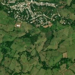 Nuevo Xochimilco map(satellite map)