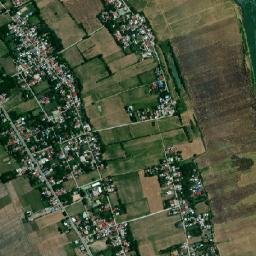 Delfin Albano map(satellite map)