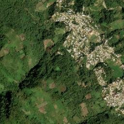 San José Chapayal map(satellite map)